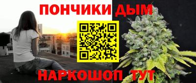 шишки Будённовск