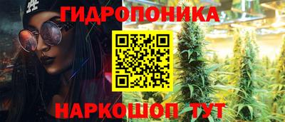 шишки Будённовск