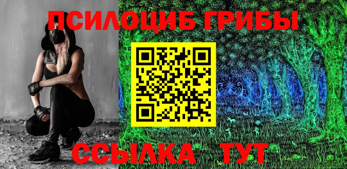 Псилоцибиновые грибы Psilocybine cubensis Лыткарино